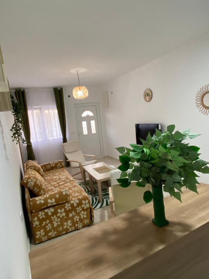Kotor Apartman Green Sailor Lejlighed Eksteriør billede